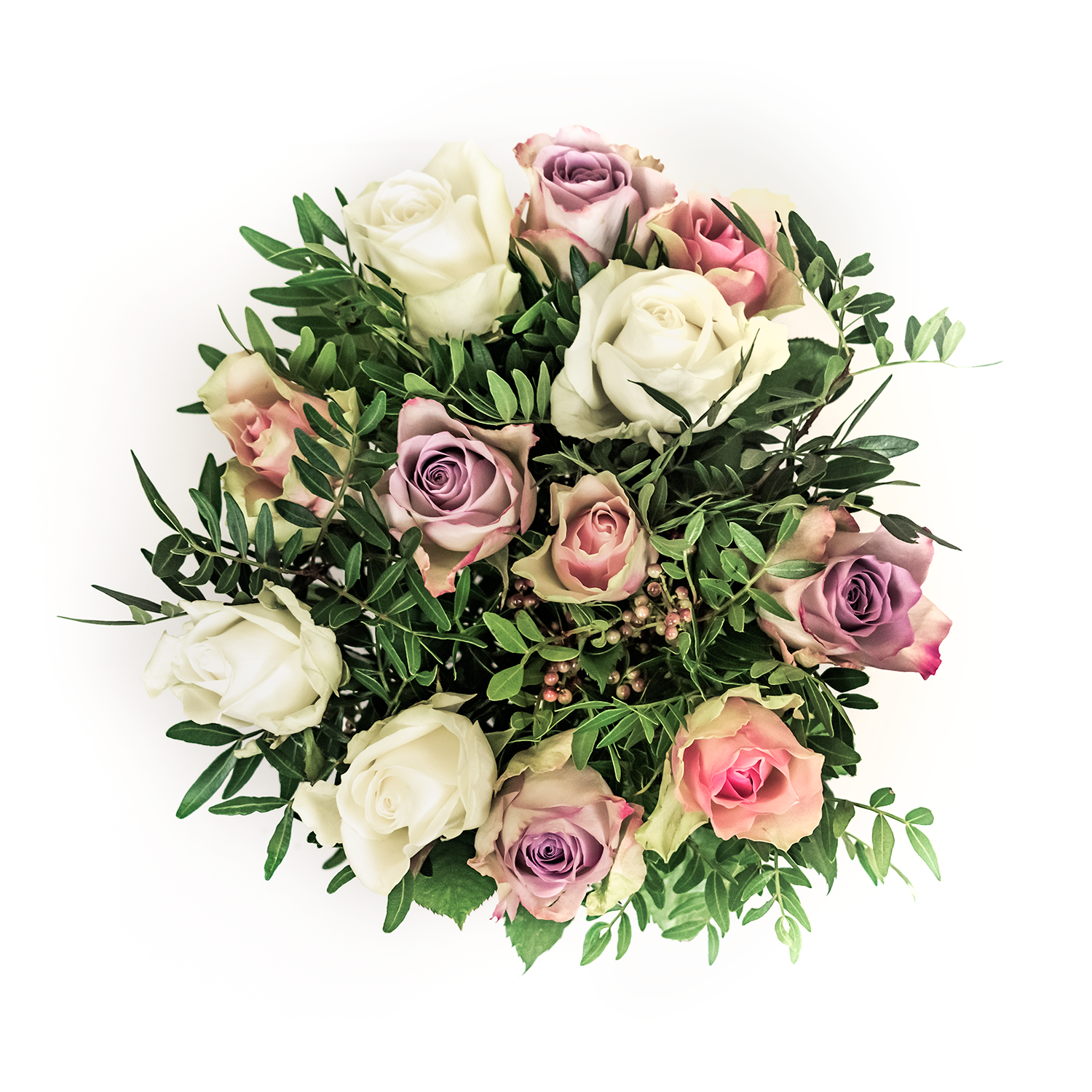 Pastel Belle Rose | Monsoon Flowers